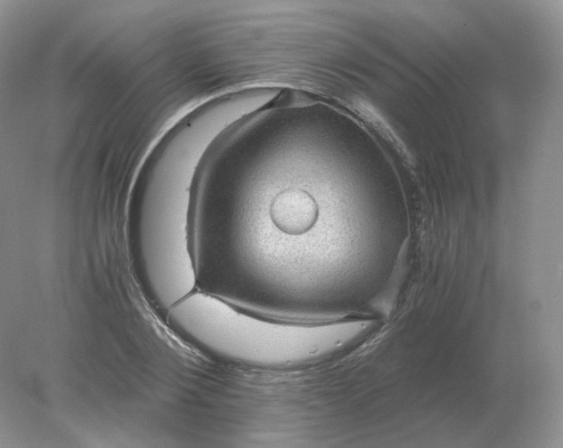 X0000078300884200611172145