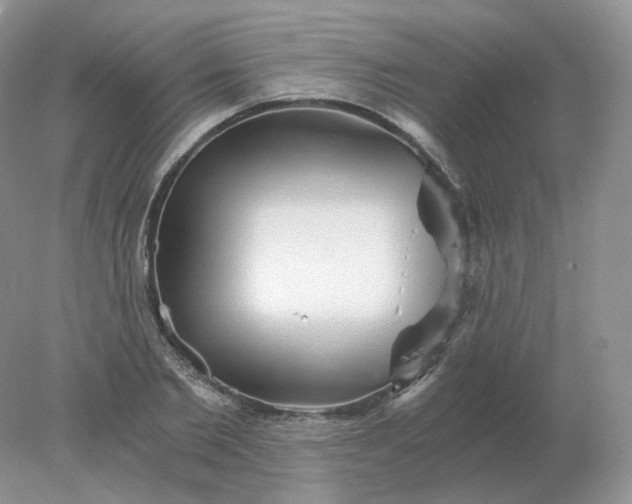 X0000078300885200611172145