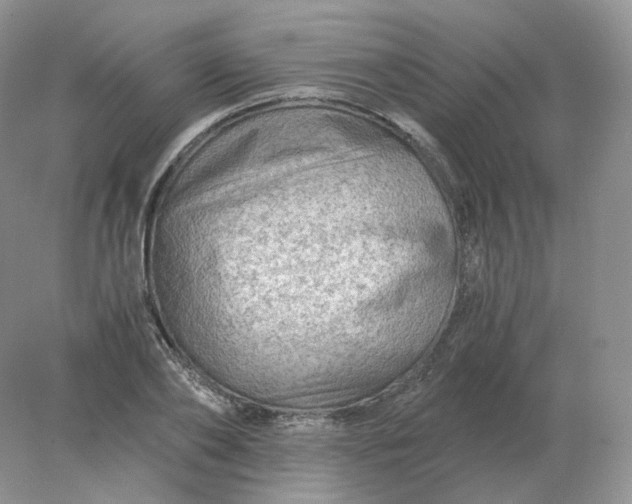 X0000078300886200611172145