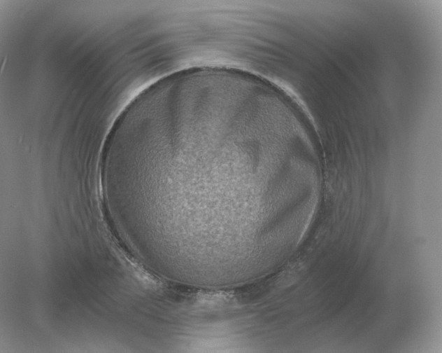 X0000078300887200611172145