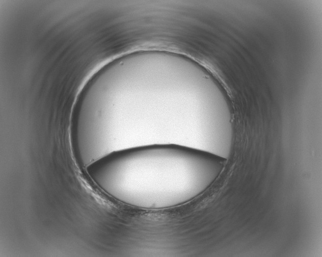 X0000078300888200611172145