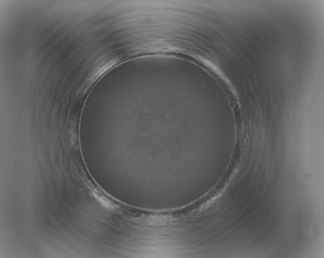 X0000078300889200611172145