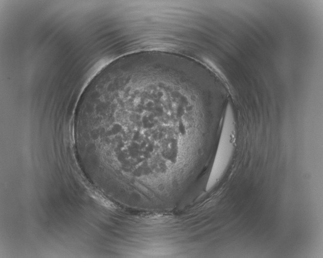 X0000078300891200611172145