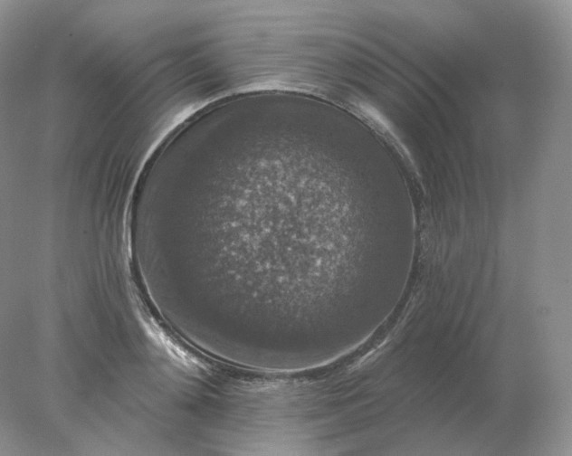 X0000078300892200611172145