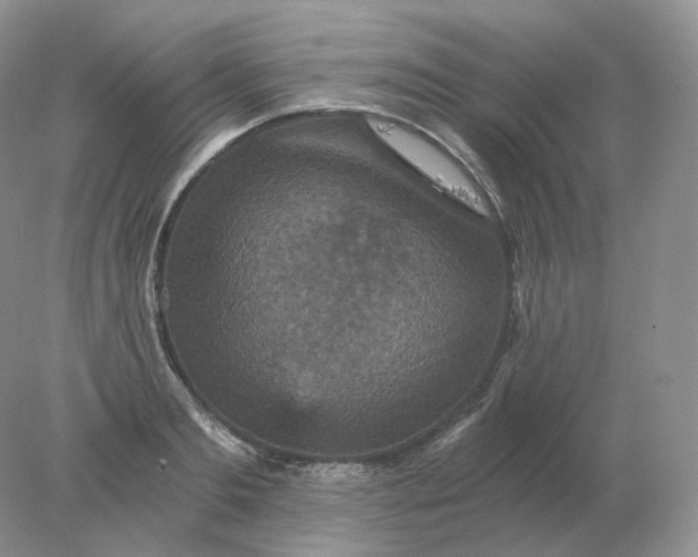 X0000078300893200611172145