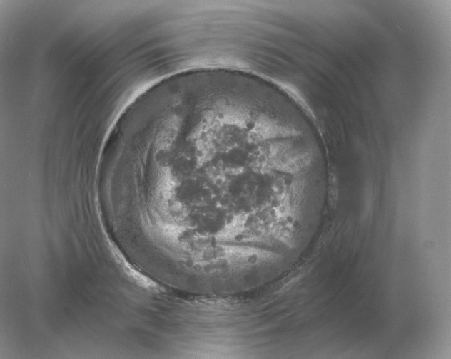 X0000078300895200611172145