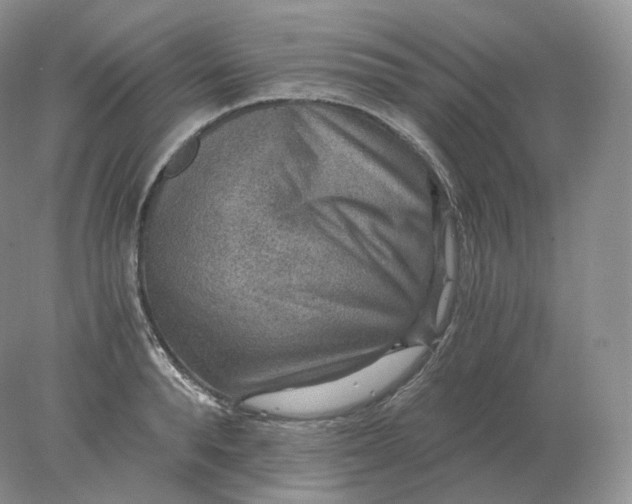 X0000078300896200611172145