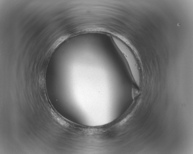 X0000078300897200611172145