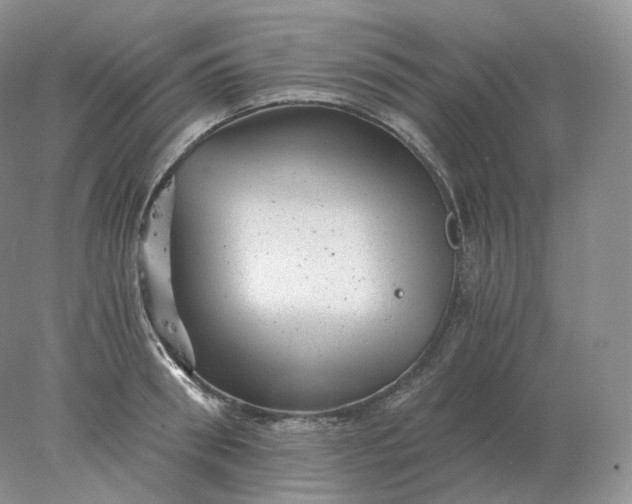 X0000078300898200611172145