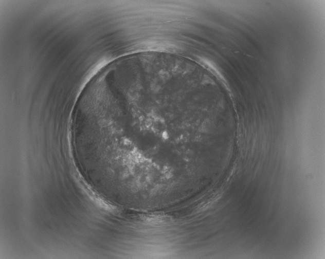 X0000078300899200611172145