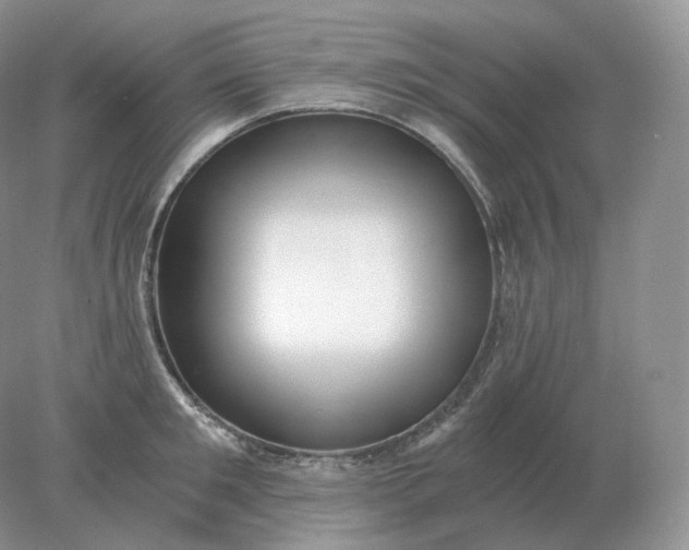 X0000078300901200611172145