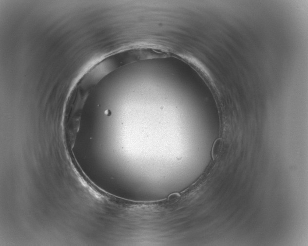 X0000078300902200611172145