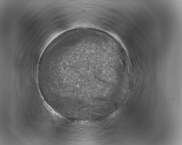 X0000078300903200611172145