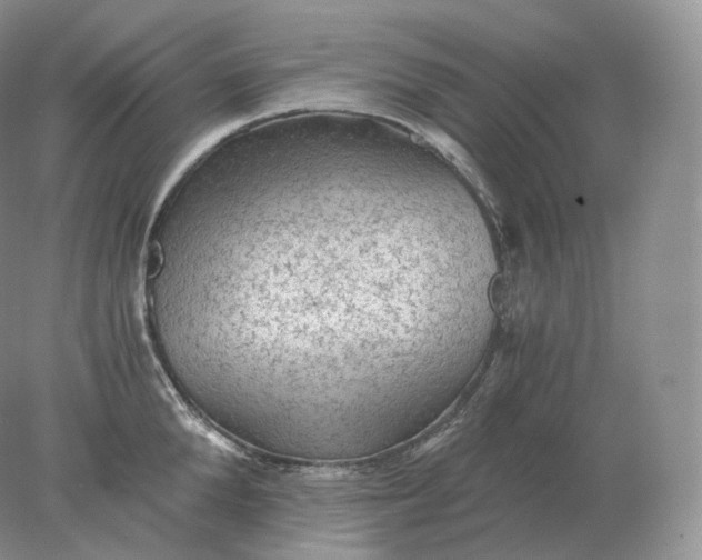 X0000078300904200611172145