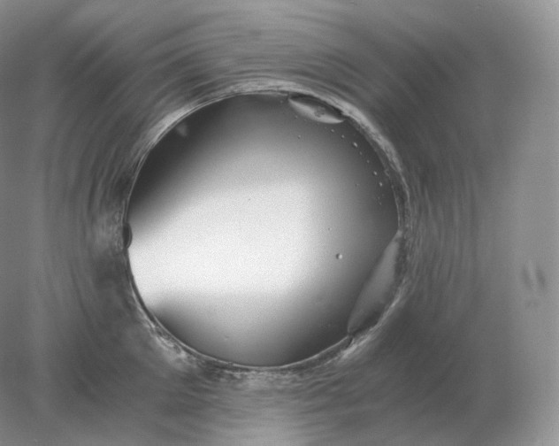 X0000078300905200611172145