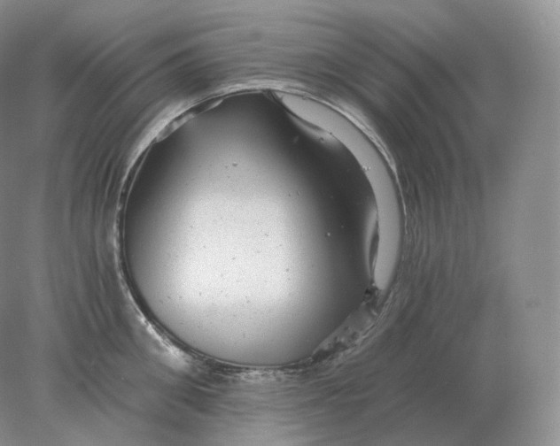 X0000078300906200611172145