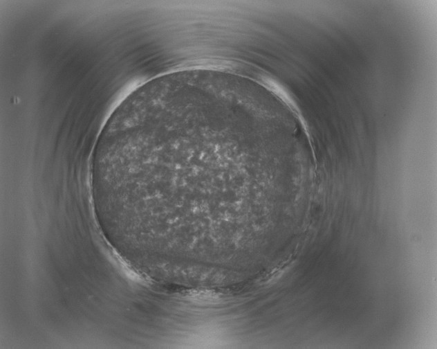 X0000078300907200611172145