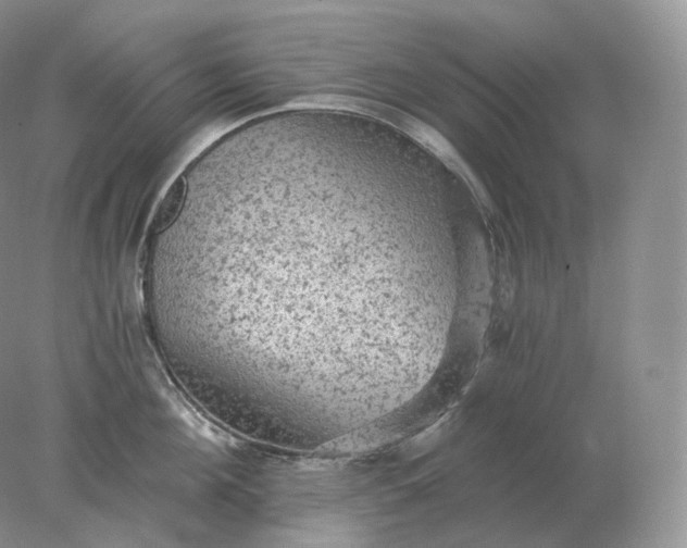 X0000078300908200611172145