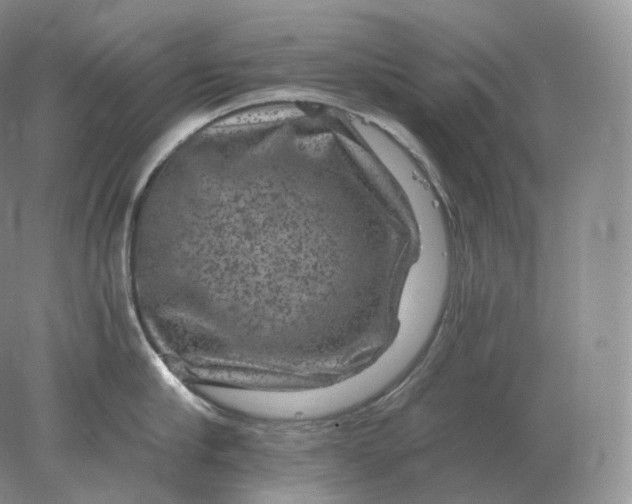 X0000078300910200611172145