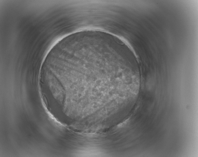 X0000078300911200611172145