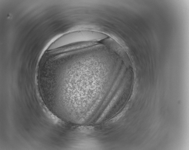 X0000078300912200611172145