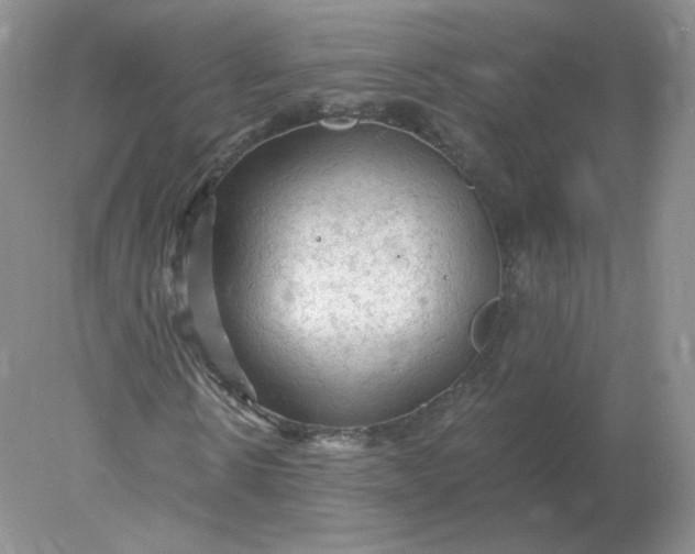 X0000078300914200611172144