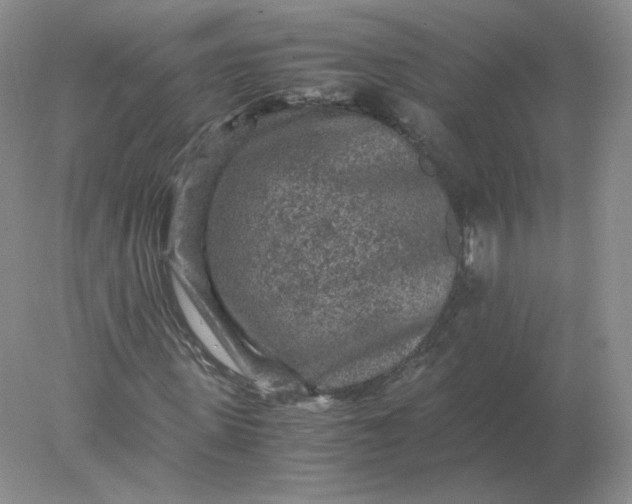 X0000078300915200611172144