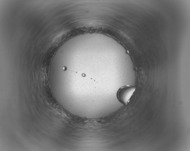 X0000078300918200611172144