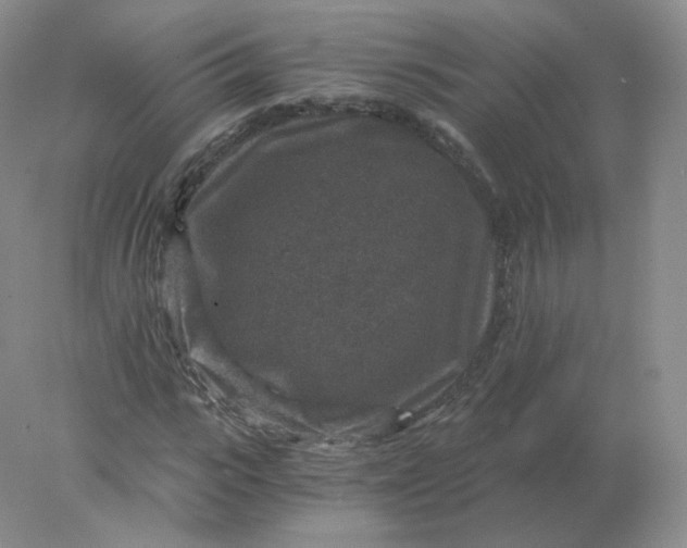 X0000078300919200611172144