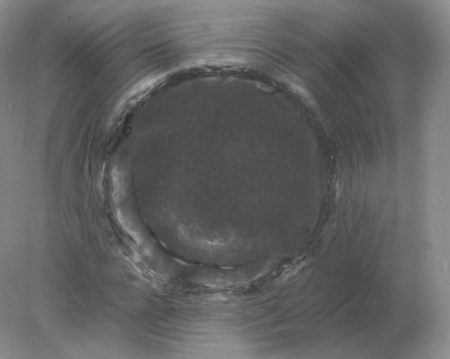 X0000078300920200611172144