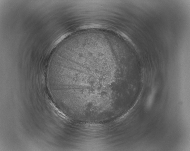 X0000078300921200611172144