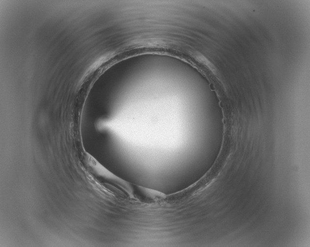 X0000078300922200611172144