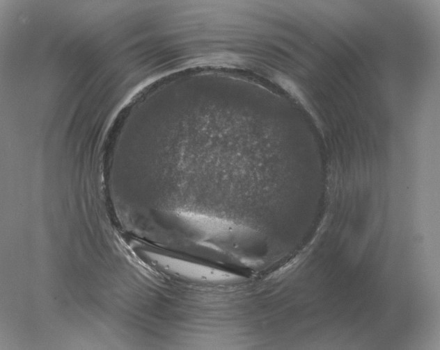 X0000078300923200611172144