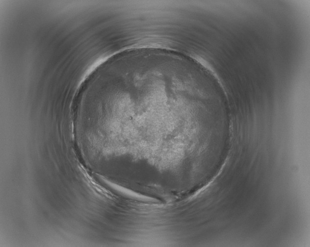 X0000078300925200611172144