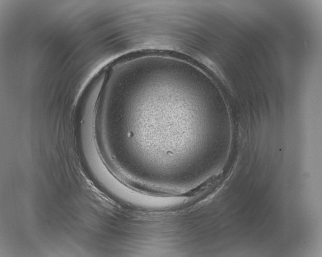 X0000078300926200611172144