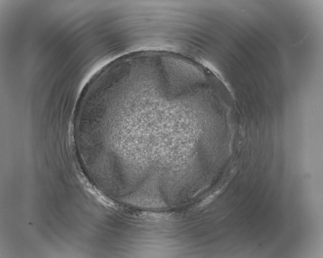 X0000078300928200611172144