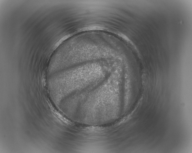 X0000078300929200611172144