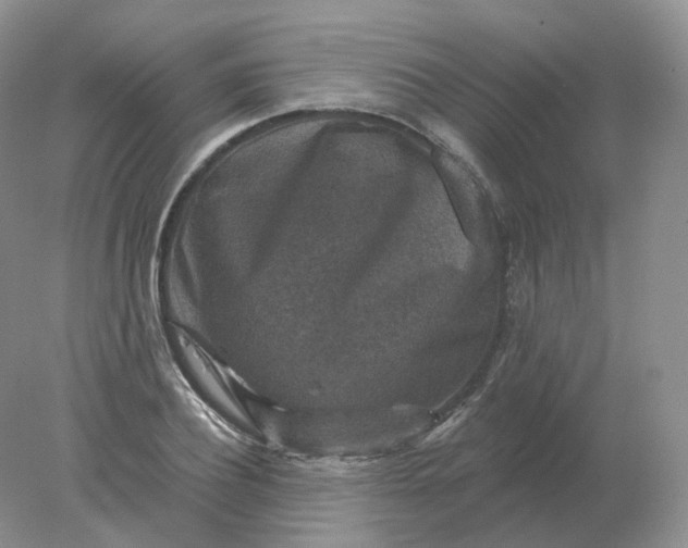 X0000078300932200611172144