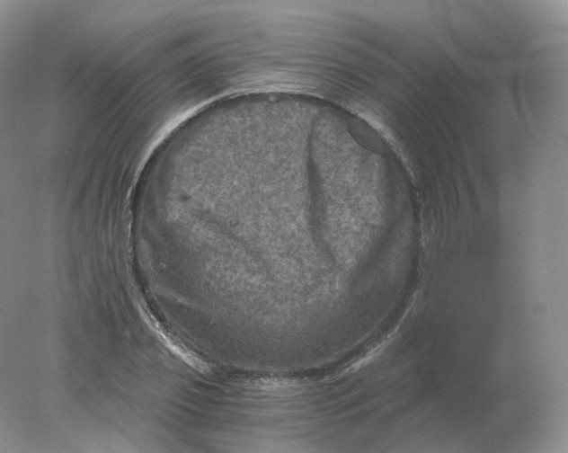 X0000078300933200611172144