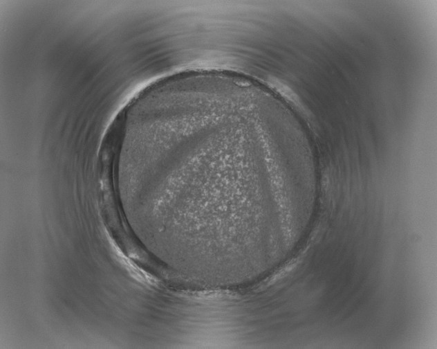 X0000078300934200611172144