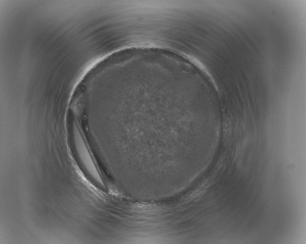 X0000078300935200611172144