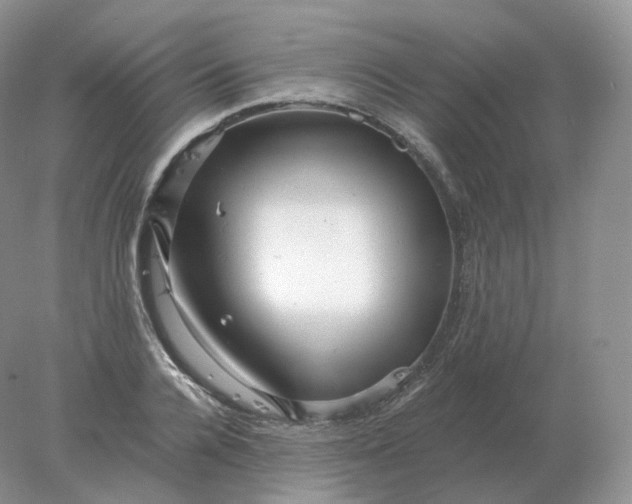 X0000078300936200611172144