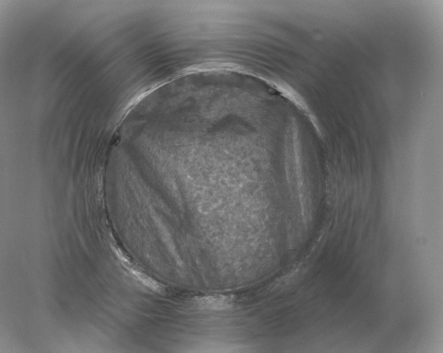 X0000078300937200611172144