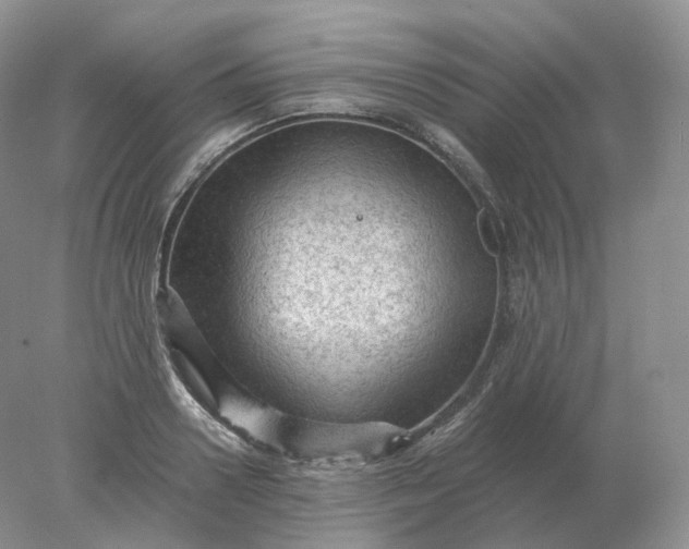 X0000078300938200611172144