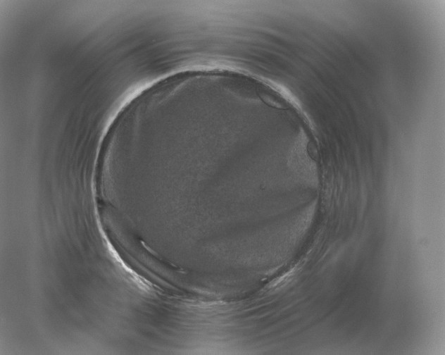 X0000078300943200611172145