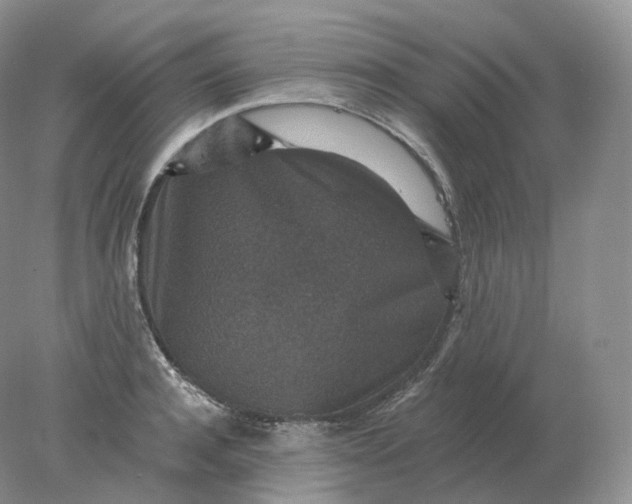 X0000078300944200611172145