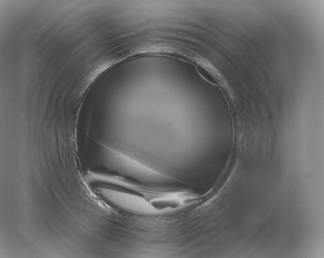 X0000078300945200611172145