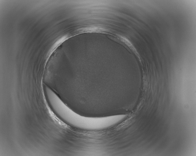 X0000078300946200611172145