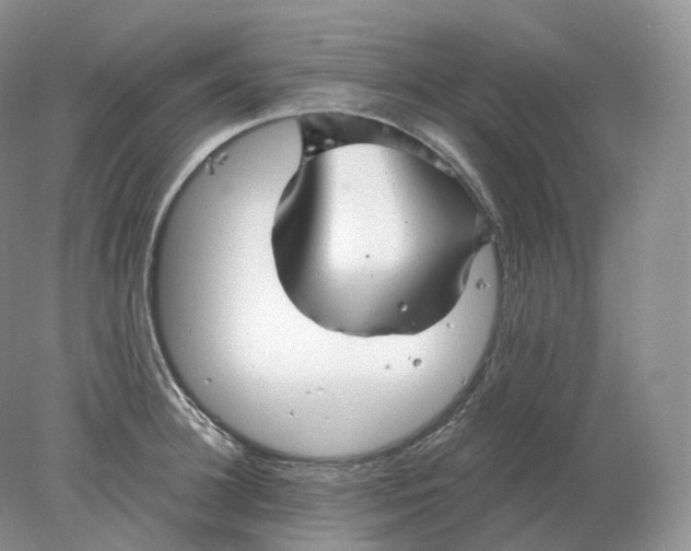 X0000078300948200611172145