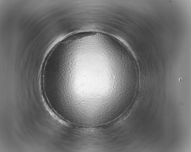 X0000078300949200611172145